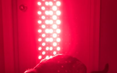 Winter survival tip #1 – Red Light Therapy